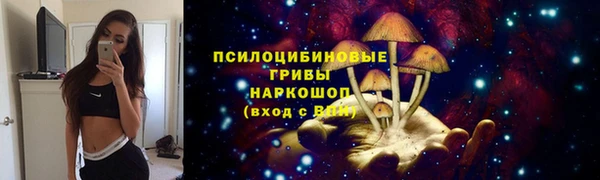 твердый Богородицк