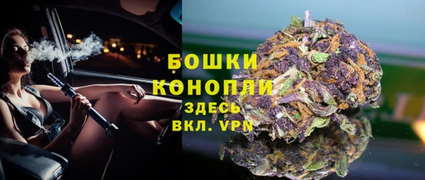 твердый Богородицк